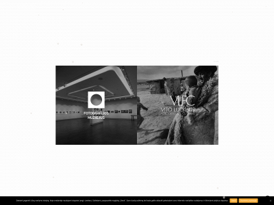 fotomuziejus.lt snapshot