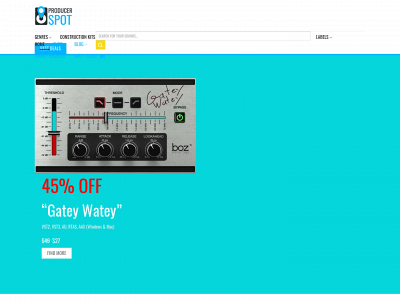producerspot.com snapshot