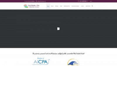 pattimoellercpa.com snapshot