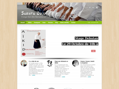 sakuradojo.be snapshot