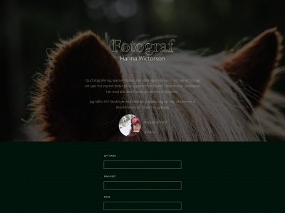 wasen.se snapshot