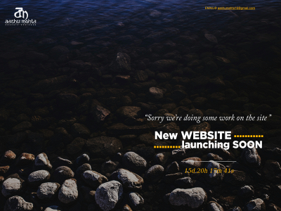 aashumehta.com snapshot