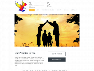 eagle-general-insurance-financial-solutions-ltd.com snapshot