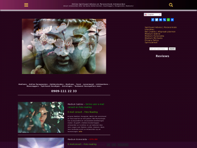 spiritueeladvies.online snapshot