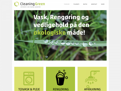 cleaninggreen.dk snapshot