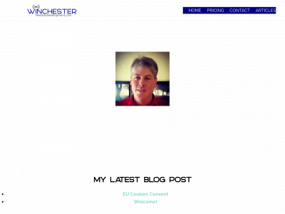 winchesterwebsitedevelopment.com snapshot