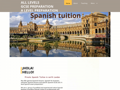 spanish-tuition.com snapshot