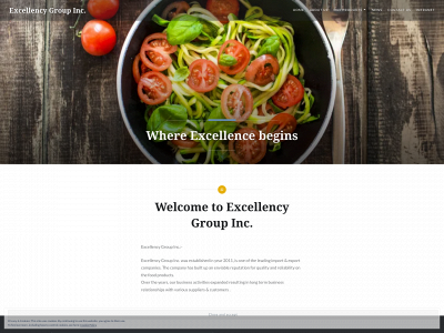 excellencygroup.com snapshot