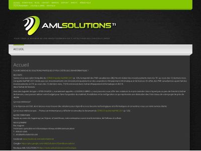 amlsolutionsti.com snapshot