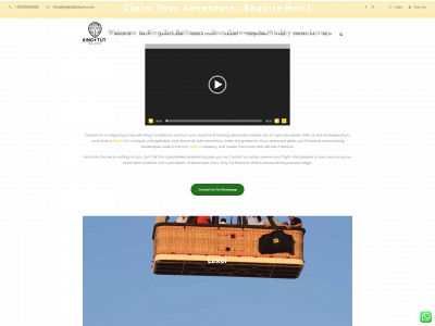 kingtutballoons.com snapshot