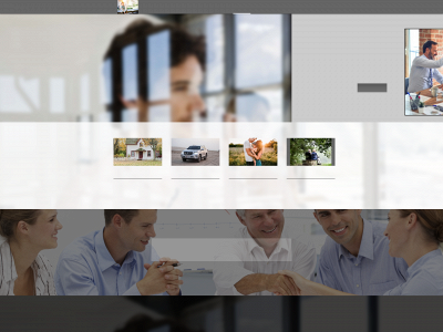 peoplesinsurancegroup.net snapshot