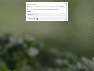 damichele.dk snapshot