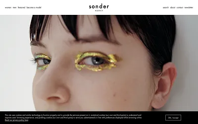 sonderagency.dk snapshot