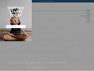 thestretchexperience.com snapshot