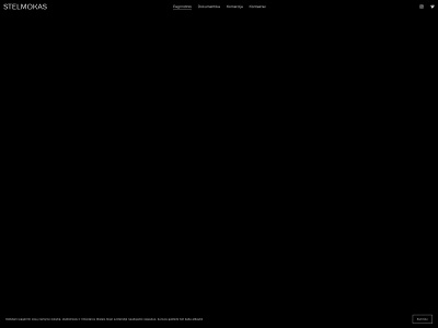 stelmokas.com snapshot