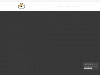 anysready.com snapshot
