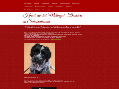 vhmolengat.com snapshot