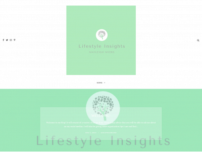 lifestyleinsights.net snapshot