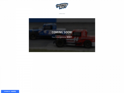frickersmint.weebly.com snapshot