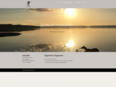 tunakungsgard.se snapshot