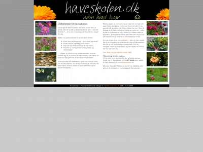 haveskolen.dk snapshot