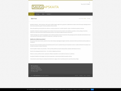 saugiapskaita.lt snapshot