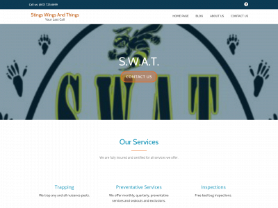 stingswingsandthings.com snapshot
