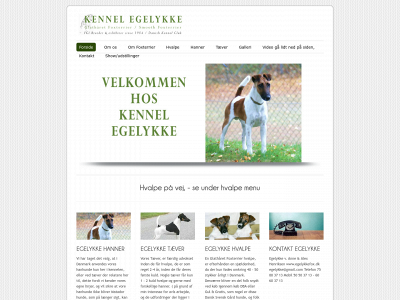 egelykkefox.dk snapshot
