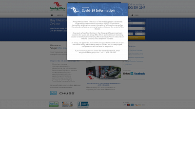 www.amigomexinsurance.com snapshot