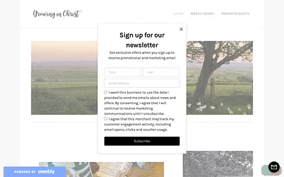 arise613.weebly.com snapshot