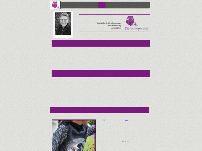 dieschleyereule.de snapshot