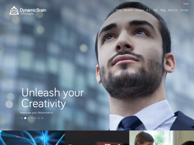 dynamicbraintech.com snapshot