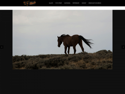 rhonda.dk snapshot