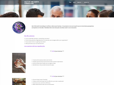 salt-of-the-earth-consulting.com snapshot
