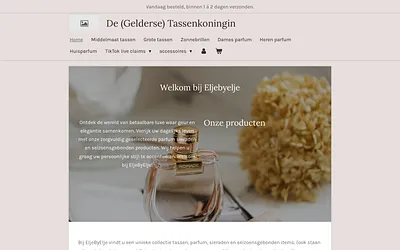 degeldersetassenkoningin.nl snapshot