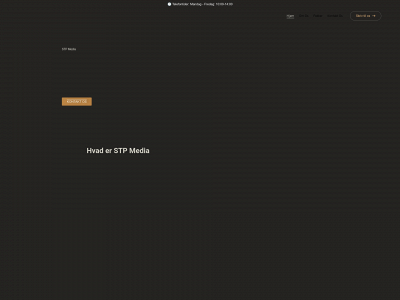 stp-media.dk snapshot