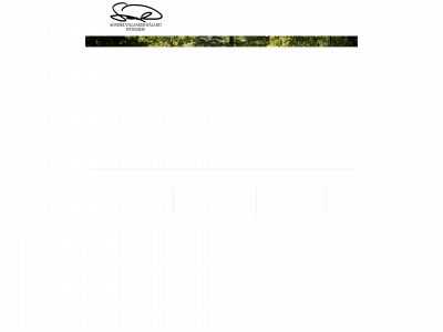 villanger.net snapshot