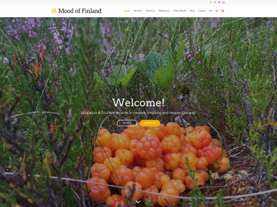 moodoffinland.fi snapshot