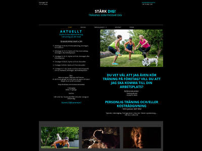 serveall.se snapshot