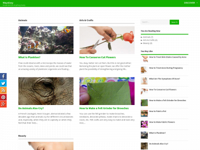 wayseasy.com snapshot