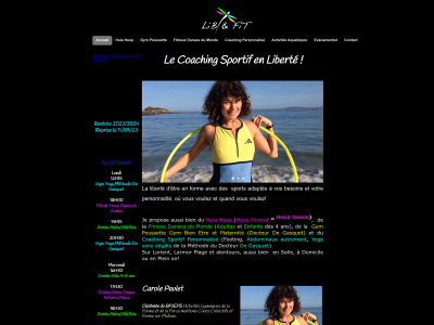 libfit.fr snapshot