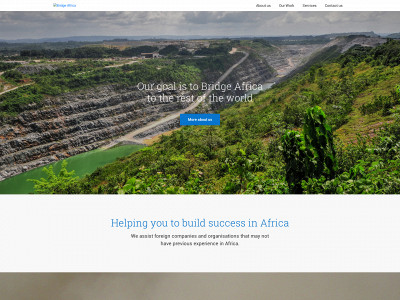 bridgeafricaconsulting.com snapshot