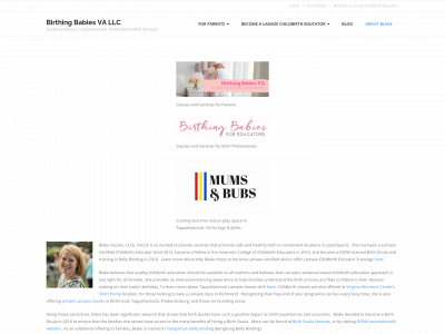 birthingbabiesva.com snapshot