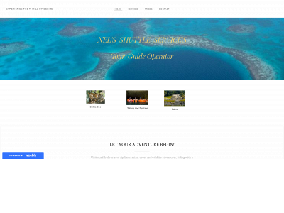 nelsshuttleservices.weebly.com snapshot
