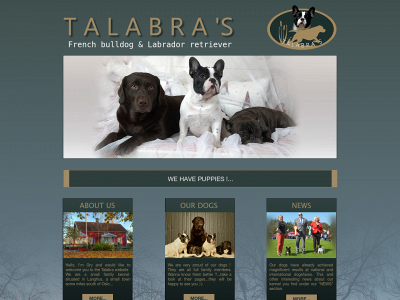 talabra.com snapshot