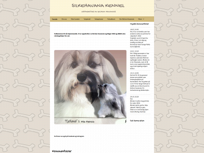 silkehavanakennel.com snapshot