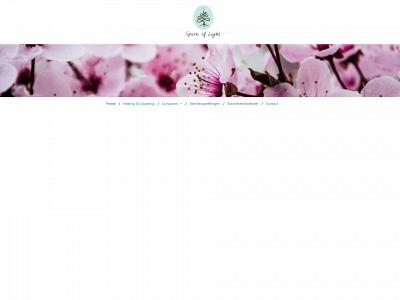 sparkoflight.nl snapshot