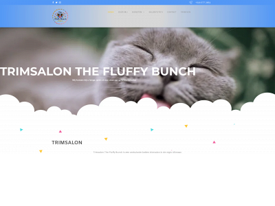 thefluffybunch.nl snapshot