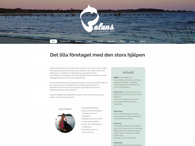 balansharmoni.se snapshot
