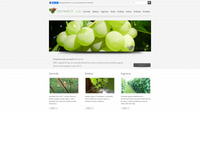 vynmedis.lt snapshot